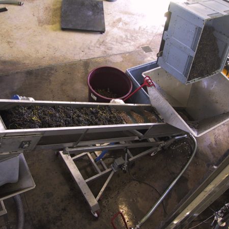 cintas linea vendimia bodegas 14